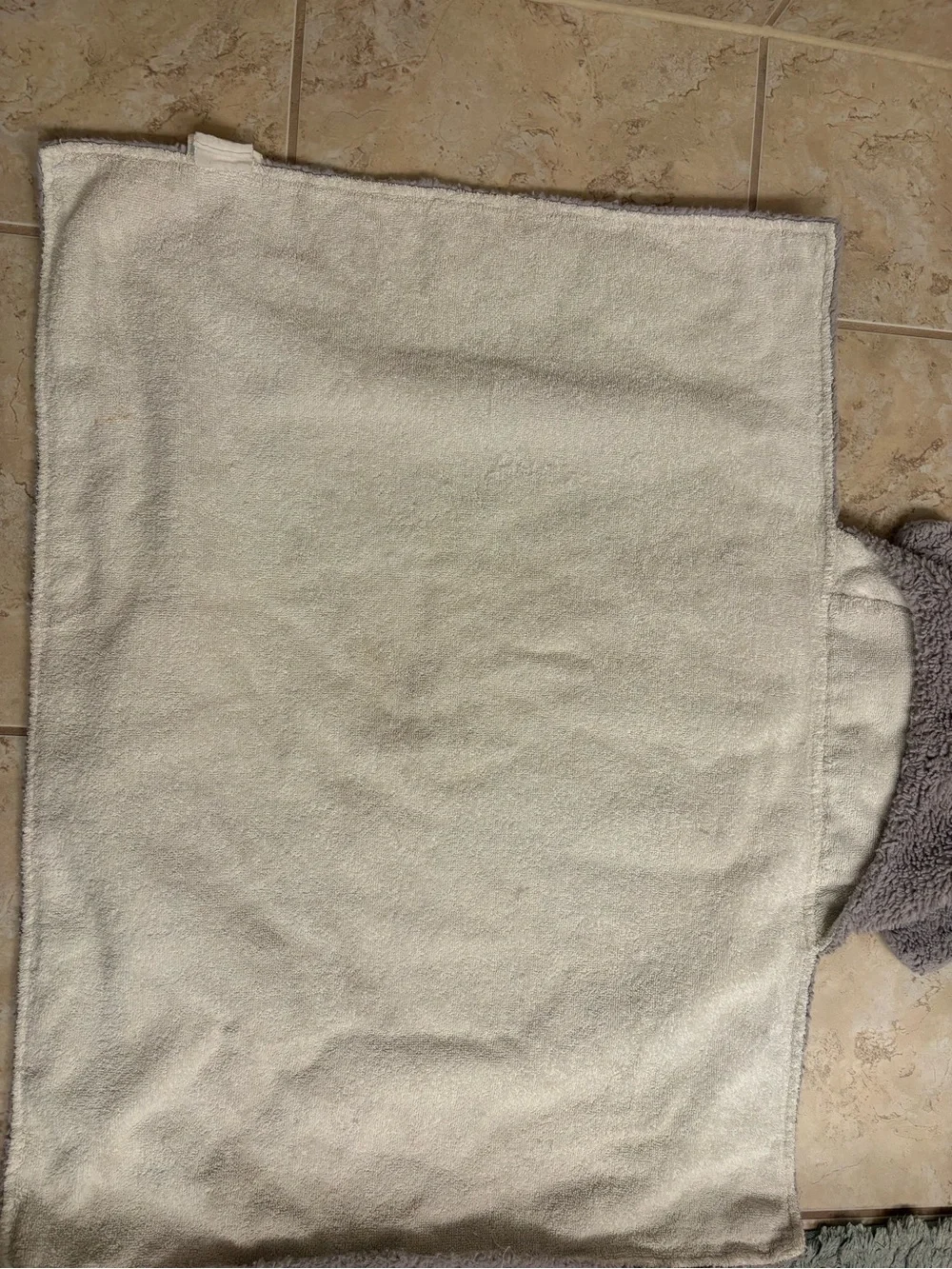 Pottery Barn Kids Elephant Hooded Towel